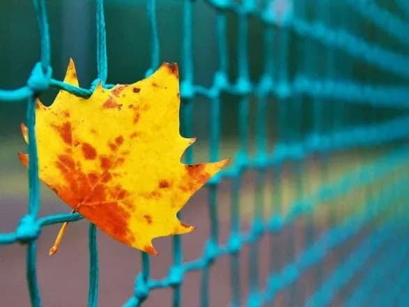 Сьогодні в Україні до 25 градусів тепла