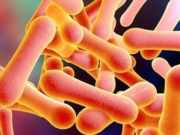 В Ужгороді розшукують 12 іноземних студентів, у яких запідозрили дифтерію