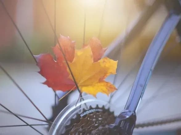 В Україні сьогодні до 24 градусів тепла