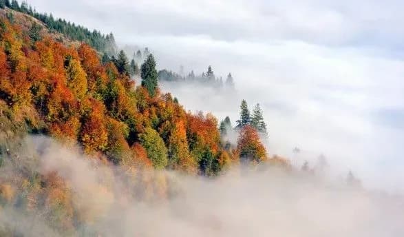 Погода на завтра: синоптики обещают туман и до 22 градусов тепла