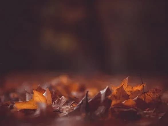 Синоптики дали прогноз погоди на завтра