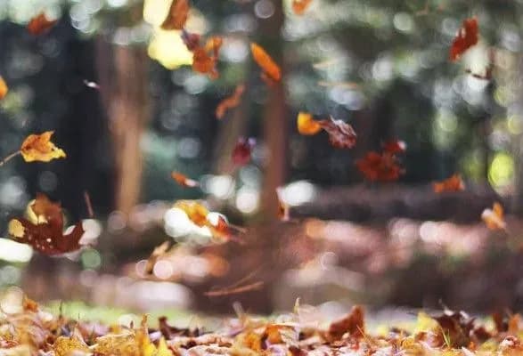 Сьогодні в Україні до 13 градусів тепла