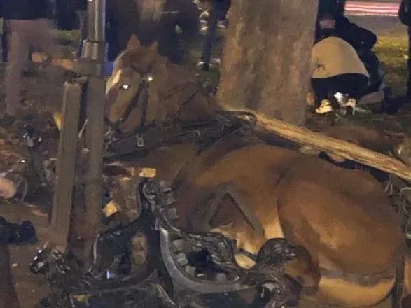 Травмованого в аварії з каретою у Львові коня приспали
