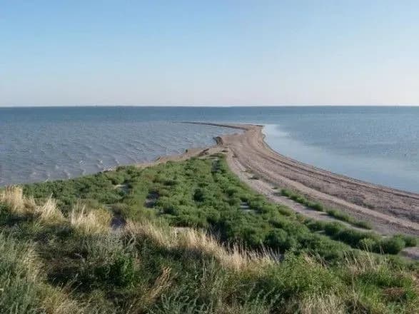 У Мінекоенерго займуться питанням незаконного вилову риби на Тузловських лиманах