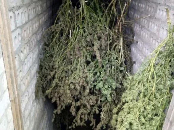 На Херсонщині "накрили" наркобізнес на майже 2 млн грн