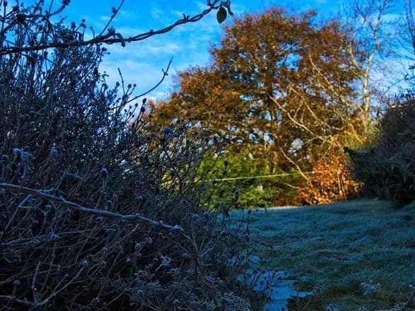 Сьогодні в Україні до 19 градусів тепла