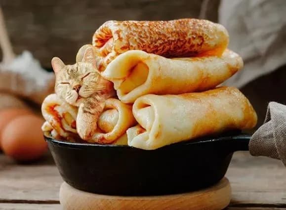 Художниця інтегрує котів у натюрморти