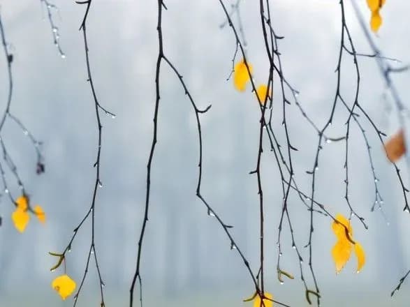 Сьогодні в Україні дощі, до 20 градусів тепла