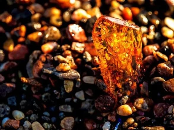 Рада відхилила законопроект щодо видобутку бурштину-сирцю