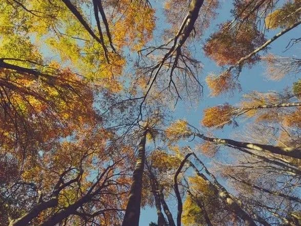 Сьогодні в Україні без опадів, до 16 градусів тепла