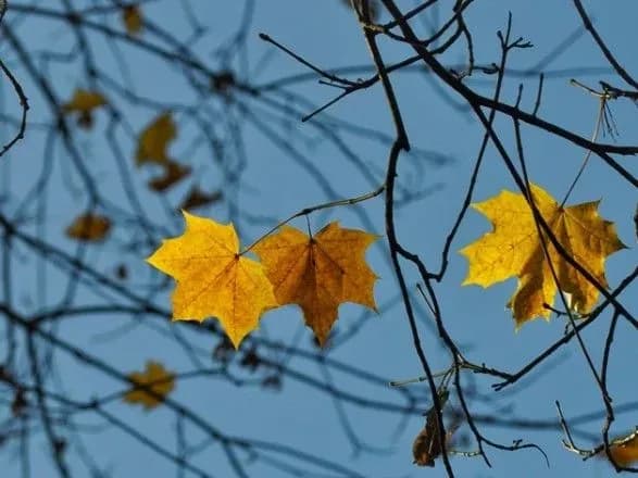 Синоптики дали прогноз на наступні три доби