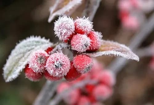 Від 9° морозу до 13° тепла: синоптики дали прогноз на сьогодні