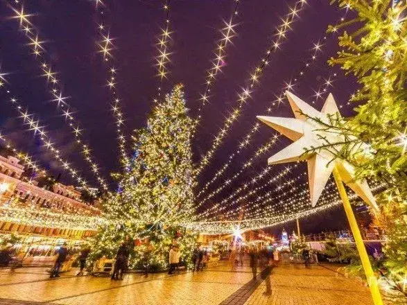 Для головної новорічної ялинки у столицю привезуть 400 сосен