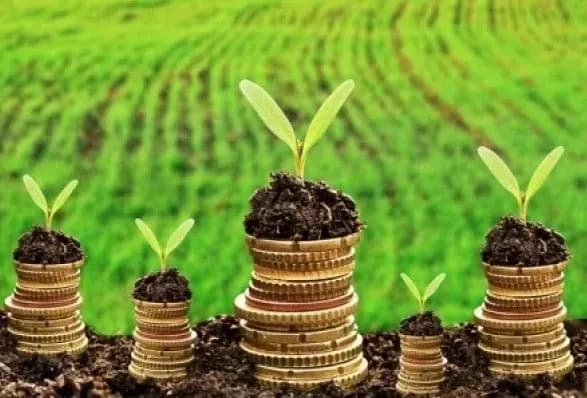 Сольський: оренда залишиться основним інструментом на ринку землі