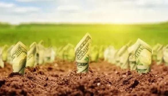 Сольський розповів про нові законопроекти щодо ринку землі