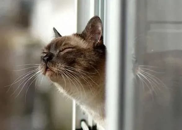 Завтра в Україні без опадів