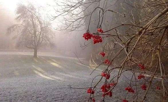 Синоптики спрогнозували погоду в Україні до кінця тижня