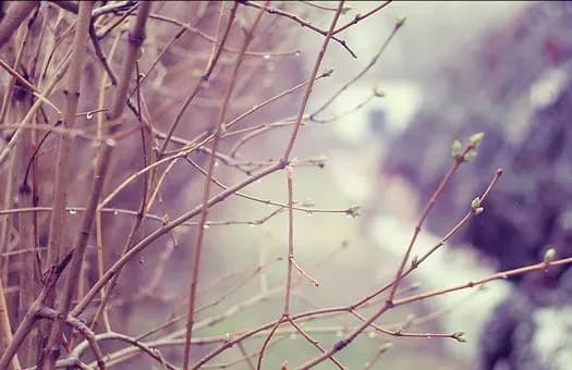 Сьогодні в Україні до 8 градусів тепла