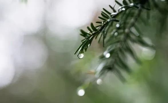 Нинішній День святого Миколая має шанс стати найтеплішим за останні 30 років