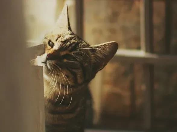 На День святого Миколая в Україні до 13 градусів тепла