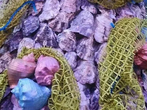 На Одещині встановили різдвяну ялинку з мушель