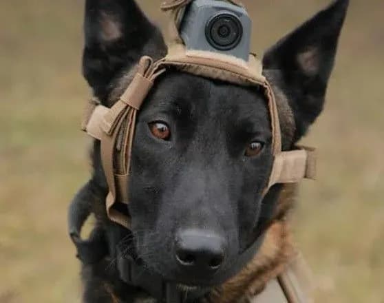 Будні супергероїв: мене звати Лорд і я спецпризначенець