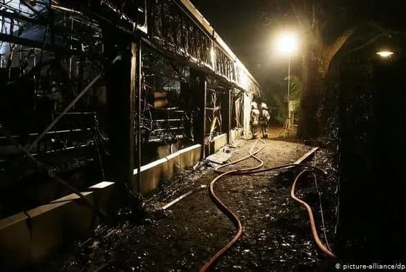 У Німеччині загинули всі мавпи під час пожежі у зоопарку