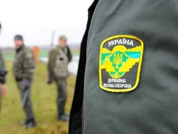 На Херсонщині "чорні" лісоруби напали на працівників держлісохорони: є загиблий
