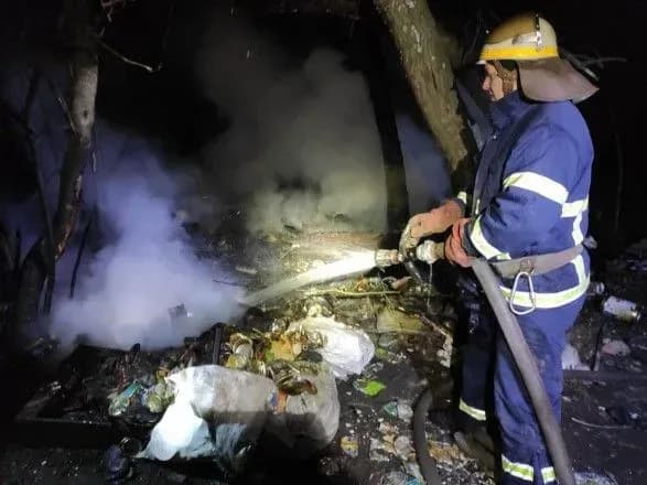 Во время пожара в лесополосе погибла женщина