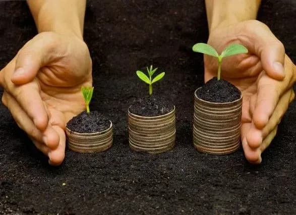 Гектар землі в Україні в середньому коштуватиме 27,4 тисяч гривень