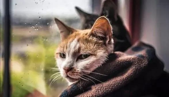 Синоптики дали прогноз погоди в Україні на завтра