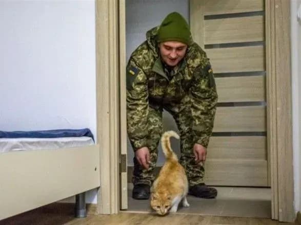 Більшість ветеранів мають проблеми з отриманням житла - опитування