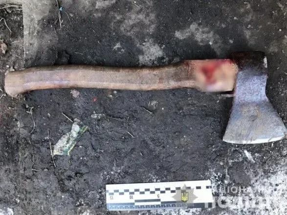 Грабіжник вдерся до будинку і мало не вбив жінку сокирою