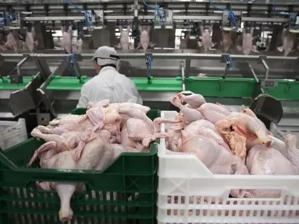 "Куряче ембарго" ЄС демонструє слабкість української влади - експерт
