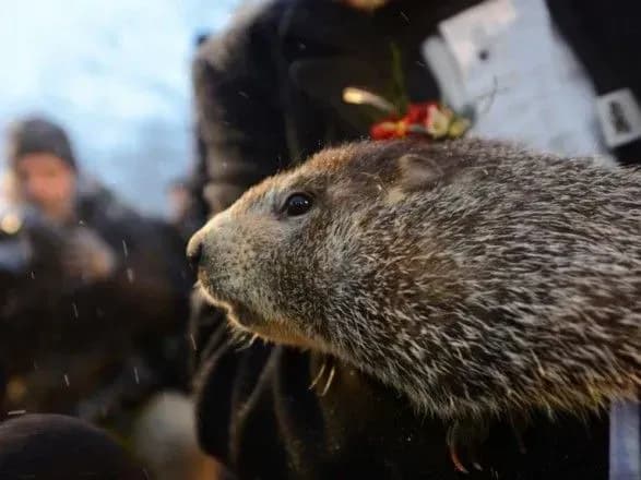 Бабак Філ передбачив ранню весну у США