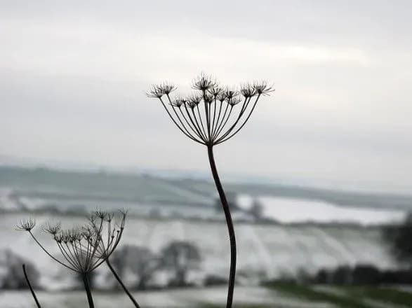 Від 3° морозу до 13° тепла: прогноз погоди на сьогодні