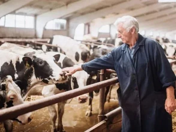 Експерти зафіксували мільярдні збитки у галузі тваринництва