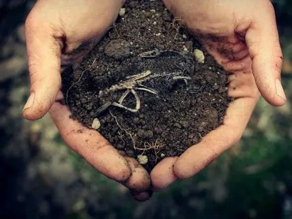 Рада сьогодні розгляне питання відкриття ринку землі