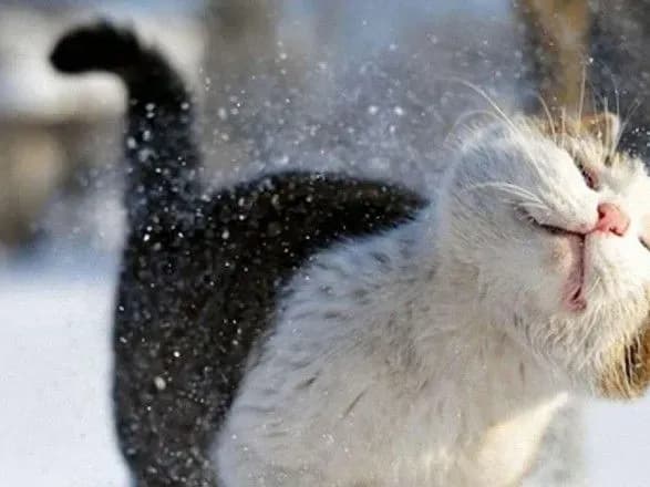 В Україну йде потепління і сніг з дощем