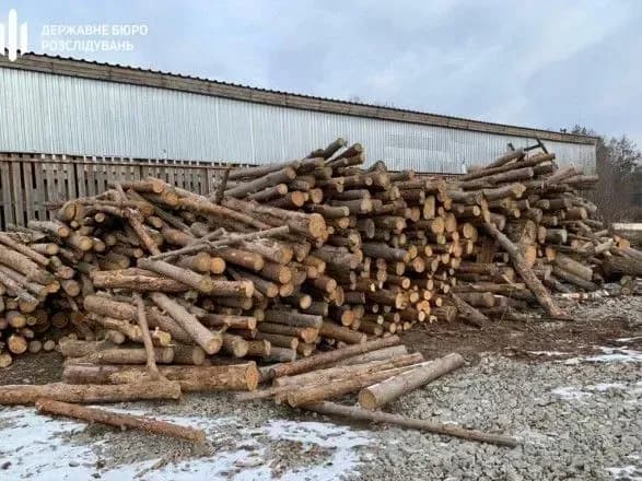 На Житомирщині лісничих підозрюють у розтраті понад 6 млн гривень
