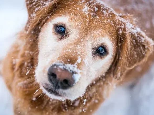 Сьогодні в Україні від 9° морозу до 10° тепла