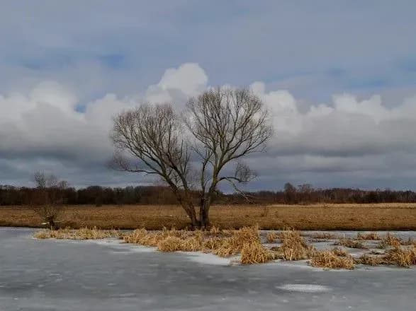 Від 8° морозу до 9° тепла: прогноз синоптиків на сьогодні