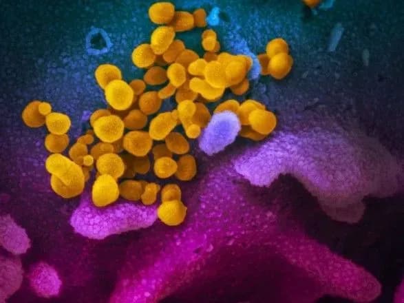 У Європі зареєстровано 46 випадків захворювання новим коронавірусом