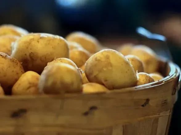 Картопля у січні подорожчала майже на чверть