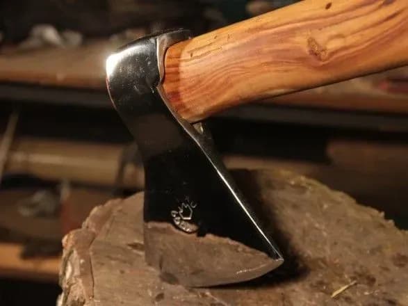 В Донецкой области во время распития алкоголя мужчина зарубил свою сожительницу