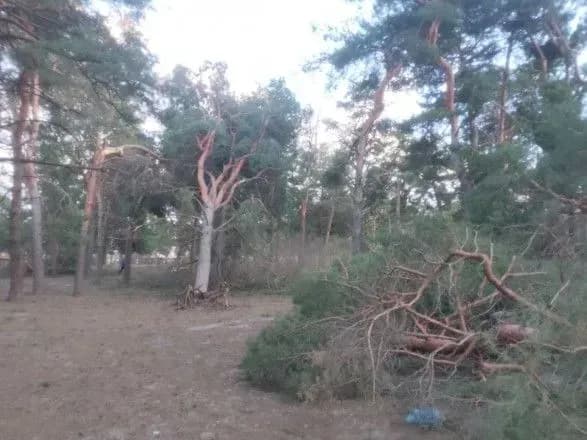 В Україні сьогодні очікується сильний вітер - ДСНС