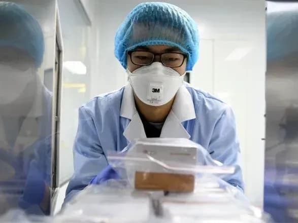 Домашні тварини можуть бути проміжними носіями коронавірусу - МОЗ