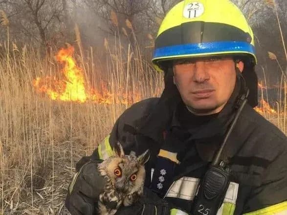 Вогнеборці врятували двох сов під час тушіння очерету у Дніпрі