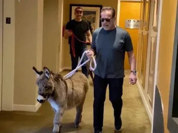 Шварценеггер прийшов на роботу з віслюком