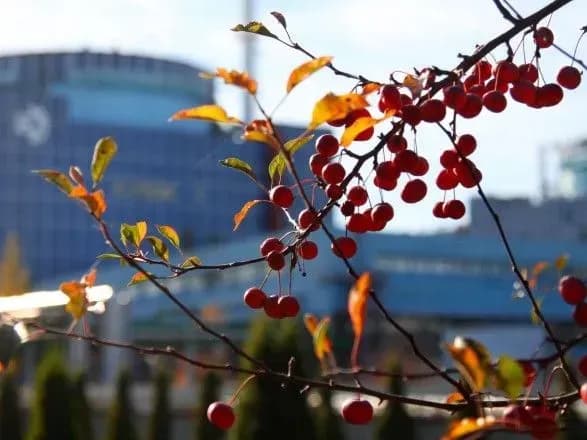 Енергосистема України продовжує працювати без трьох атомних блоків